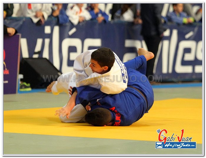 AVILES 2013025
